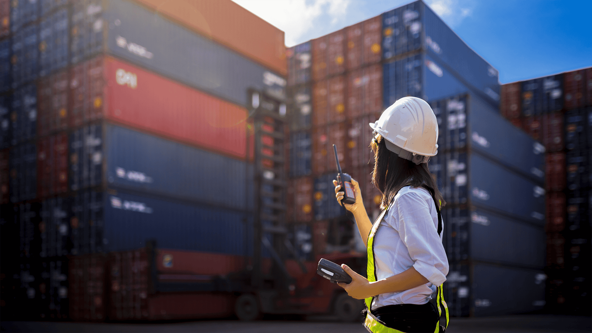 Digital Cargo & Customs Broker System